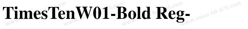 TimesTenW01-Bold Reg字体转换